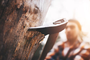 An ax cutting into a tree, closeup, handled by an out of focus lumberjack in the background.