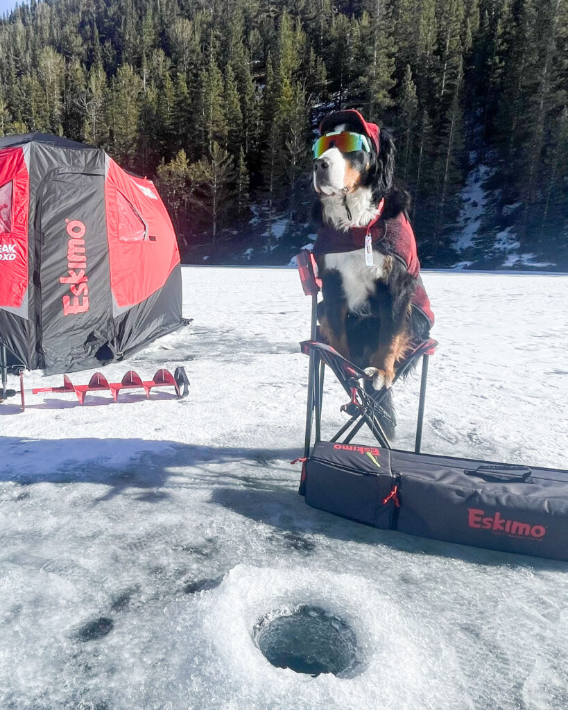 Kromer Country Blog Pawsitive Impact mayor parker the dog sitting in a chair next to an ice fishing hole