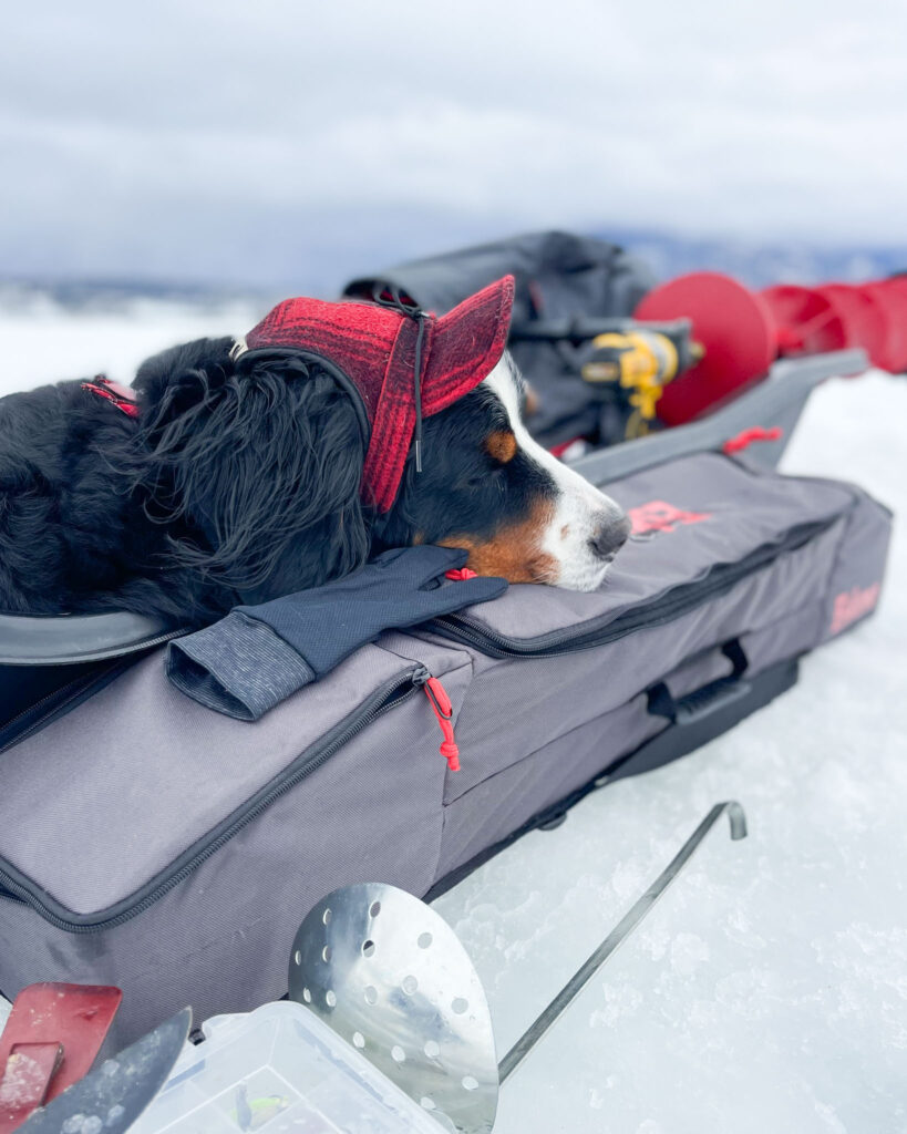 Kromer Country Blog Pawsitive Impact mayor parker the dog laying down on snow gear