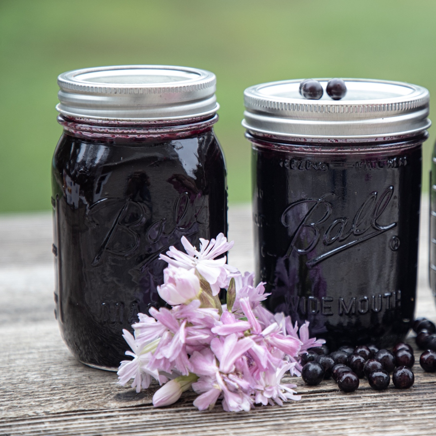 Homemade choke cherry jelly