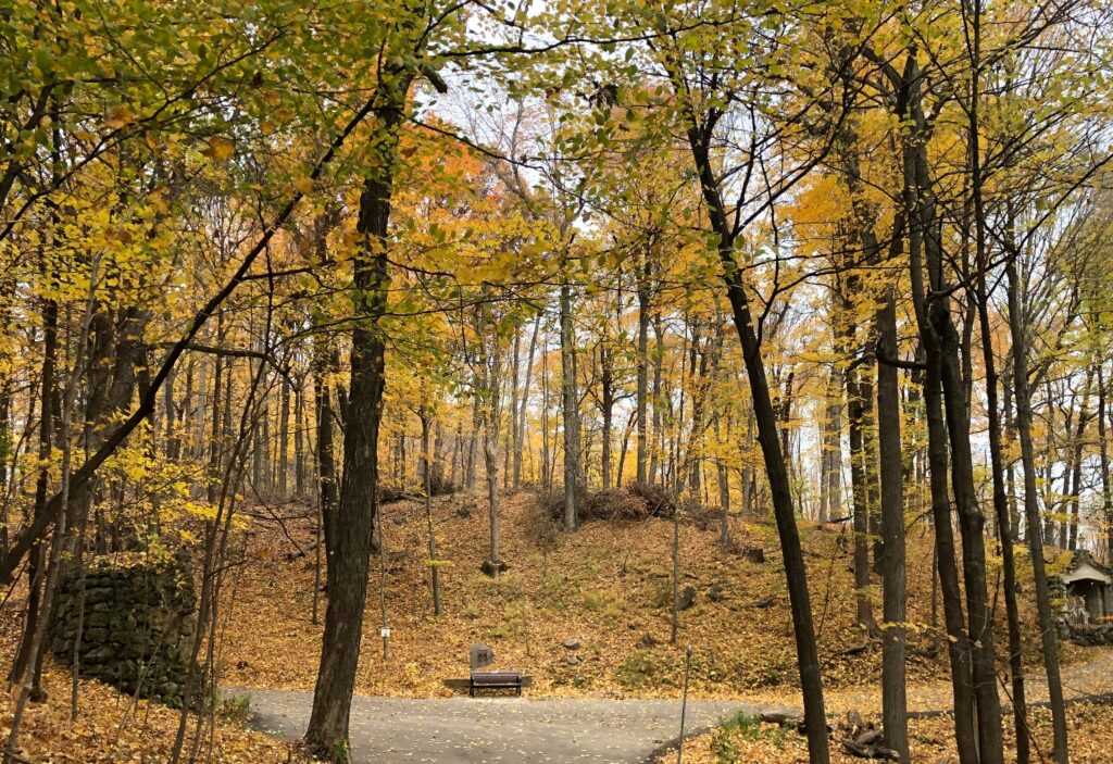 The fall colors in Holly Hill are stunning